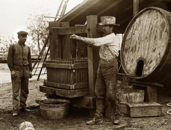 The initial conversion of a barn into into a winery in the early 1900's.