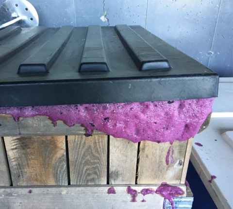 Grapes fermenting at Stoutridge.